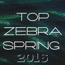 Top Zebra Spring 2016