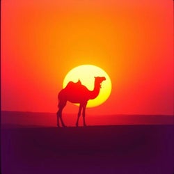 Hello Dubai