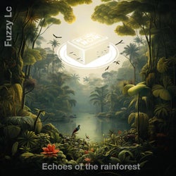 Echoes of the rainforest