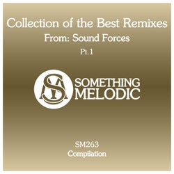 Collection of the Best Remixes From: Sound Forces, Pt. 1