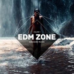 EDM Zone, Vol. 1