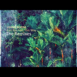Can You Feel This Way ( The Remixes )