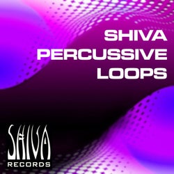 Shiva Percussive Loops Vol 4