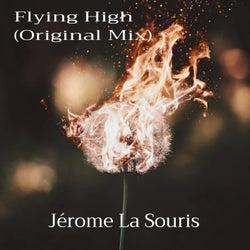 Flying High (Original Mix)