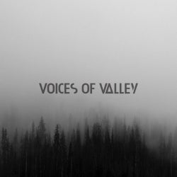 Voices Of Valley Takt Chart