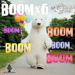 Boom X6