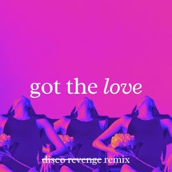 Got the Love  (Disco Revenge Remix)