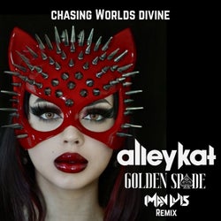 Chasing Worlds Divine (Remix)