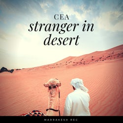 Stranger in Desert