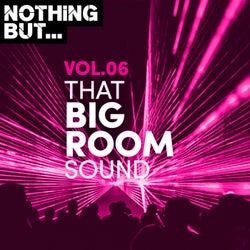 Nothing But... That Big Room Sound, Vol. 06