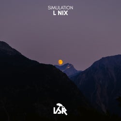 Simulation