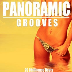 Panoramic Grooves (20 Chillhouse Beats)