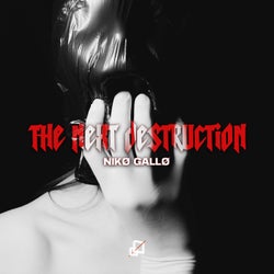 THE NEXT DESTRUCTION