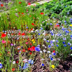 Wildflowers Garden Music