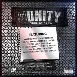 Unity, Vol. 1