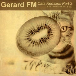 Cats Remixes Pt. 2
