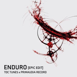 Enduro (Epic Edit)