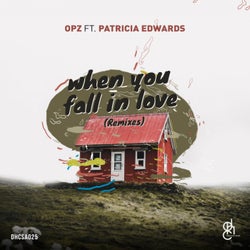 When You Fall In Love (Remixes)