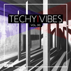 Techy Vibes, Vol. 30