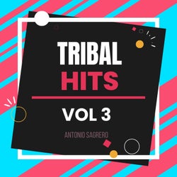 Tribal Hits Vol. 3
