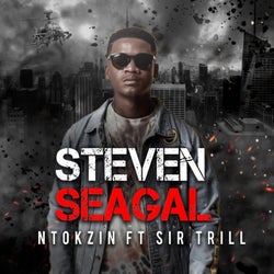 Steven Seagal (Radio Edit)