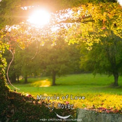 Miracle of Love