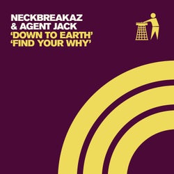 Down To Earth / Find Your Why
