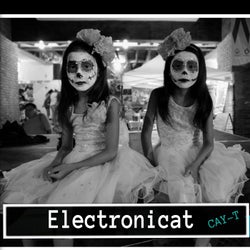 Electronicat