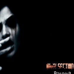 Dark Section Best Tracks