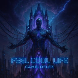 Feel Cool Life