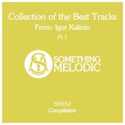 Collection of the Best Tracks From: Igor Kalinin, Pt. 1