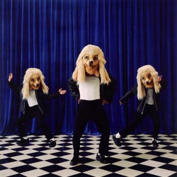 Mr. Big Dog, Please Press Play