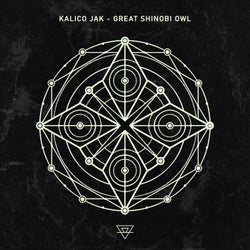 Great Shinobi Owl