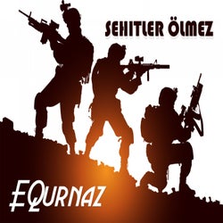 Sehitler Olmez