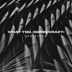 What You... (Going Crazy)