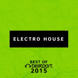Best Of 2015: Electro House