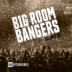 Big Room Bangers, Vol. 09