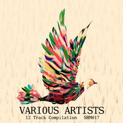 Various Artists Compilation