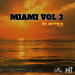 Elektika Miami, Vol. 3