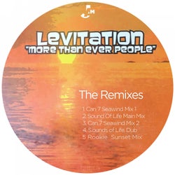 More Than Ever People (The Remixes)