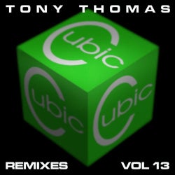 TT Remixes Volume 13
