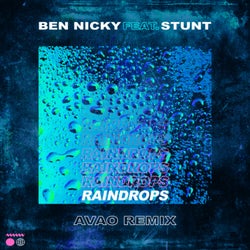 Raindrops (Avao Remix)