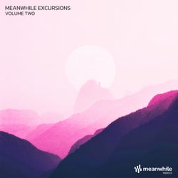 Meanwhile Excursions, Vol. 2
