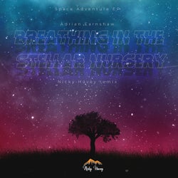 Breathing In The Stellar Nursery (Nicky Havey Remix)