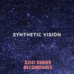 Synthetic Vision