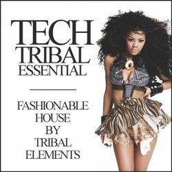 Tech Tribal Essential: Fashionable House By Tribal Elements