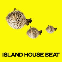 Island House Beat (Selection House Beat Remastered)