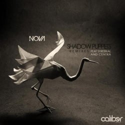 Shadow Puppets Remixes