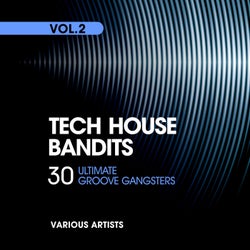 Tech House Bandits (30 Ultimate Groove Gangsters), Vol. 2