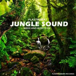 Jungle Sound (Birds and Insects FX)